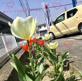 今週のおすすめのお車♡